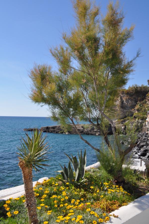 La Citarea Panzió Forio di Ischia Kültér fotó