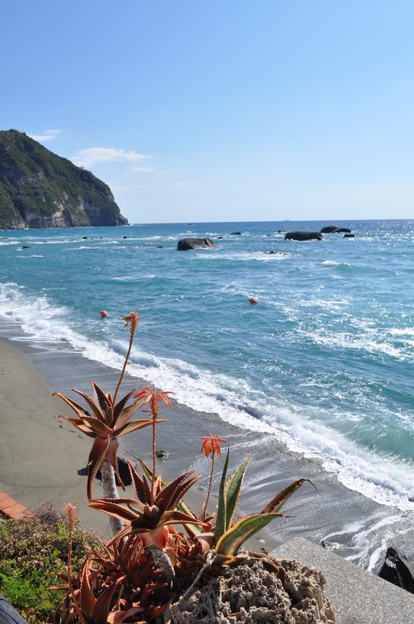 La Citarea Panzió Forio di Ischia Kültér fotó