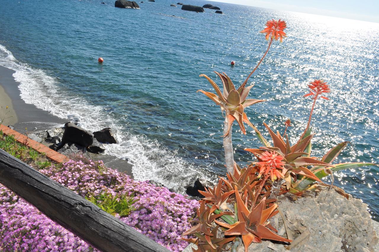 La Citarea Panzió Forio di Ischia Kültér fotó