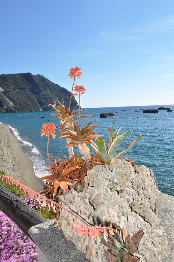 La Citarea Panzió Forio di Ischia Kültér fotó